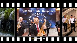 CALINUT PRINTU BANATULUI || INSTRUMENTALA || NOU 2022 4K