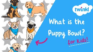 🐶 Puppy Bowl for Kids! | Puppy Bowl 2024 | Super Bowl | Twinkl USA
