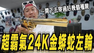 超霸氣24K金蟒蛇左輪! 開下去穿過好幾個殭屍!