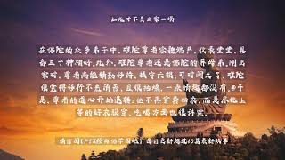 【佛教经典故事】如此才不负出家一场