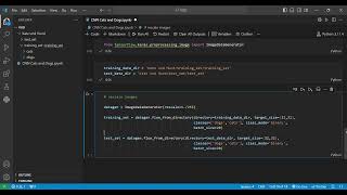 Binary Image Classification with CNNs: Step-by-Step Guide