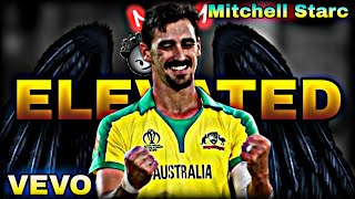 Elevated X Mitchell Starc 💪 Yorker's || cricket World Cup 2019 | #cricket #viralvideo