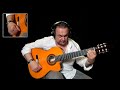 Raphael Fays - Honeysuckle Rose (Gypsy Jazz Guitar Solo)