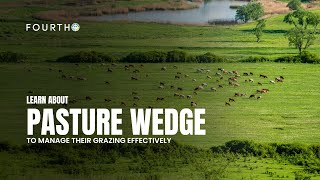 FourthQ pasture wedge