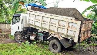 Truk Jomplang.Mobil TRUK KESULITAN Bongkar Muatan PASIR LENGKET Full Bak Menggunung Di LOKASI BARU !