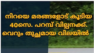 നിറയെ മരങ്ങളോട് കൂടിയ 40സെ. പറമ്പ് വില്പനക്ക്.