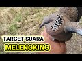 target suara melengking berhasil kita bawa pulang @tekukurkarawang