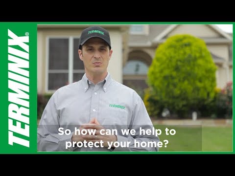 Protect Home From Termites - Why Choose Terminix - Terminix - YouTube