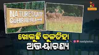 ଆରମ୍ଭ ହୋଇଛି ପର୍ଯ୍ୟଟନ ଋତୁ, ନଭେମ୍ବର ୧ରେ ଖୋଲିବ ବାଲେଶ୍ୱର ନୀଳଗିରିର କୁଳଡିହା ଅଭୟାରଣ୍ୟ |