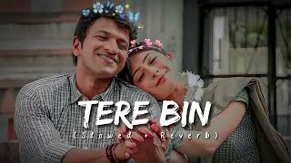 Tere Bin 💝 ( Slowed + Reverb ) ... Hindi Song | Rahulvibez