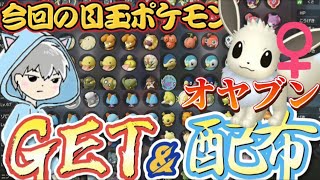 【配布回】初見さん大歓迎！大量に色違いポケモン配布！！【レジェンズアルセウス】【ポケモンアルセウス】