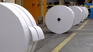Harvesting Wood to Producing Paper - Inside the Paper Factory