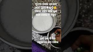 ମୋ ପଖାଳ ମୋ ଶାନ୍ତି😋#sushmitap #shorts #trending #pakhala