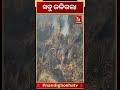 ‘ଆମର ସବୁ ଜଳିଗଲା’ shorts nandighoshatv