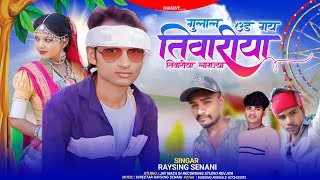 गुलाल उड़ गयु तिवारिया लागजिया SINGER RAYSING SENANi भंगोरिया सॉन्ग 2025 🍍