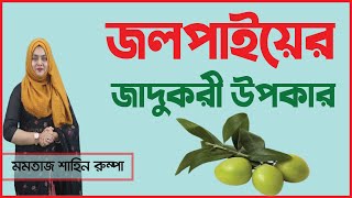 নিয়মিত জলপাই খেলে দূরে থাকবে যেসব রোগ/যেসব রোগ প্রতিরোধ করে জলপাই/জলপাইয়ের পুষ্টিগুণ/Shastho TV