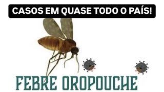 OROPOUCHE: TRATAMENTO E PREVENÇÃO! EXCLUSIVO!