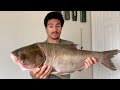 Filleting and Eating The Most Hated Fish in America. The Asian Carp