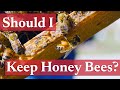 Is Beekeeping Right for Me? | Beekeeping Academy | Ep. 2