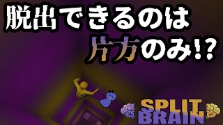 【Split Brain】脱出できるのは1人だけ…？