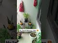 my little paradise, how's it? #balconymakeover #homedecor #balconydecor #shortvideo #viral_video