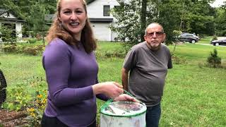 Mondays with Martha #16 - Monarch Migration and Tagging
