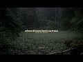 Where Dreams Leave No Trace / Floating Ambient Dreamscape