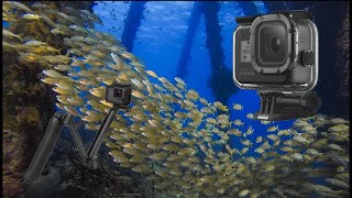 スキューバ ダイビングとシュノーケリングに最適な GoPro マウント