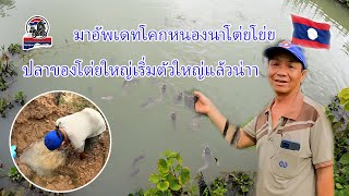 มาอัพเดทโคกหนองนาโต่ยโย่ยปลาของโต่ยใหญ่เริ่มตัวใหญ่แล้วน่าา|ToiyYoiy