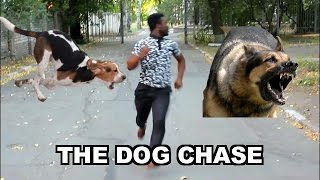 THE DOG CHASE