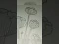 Very easy flower drawing / cloudy Artist / 23 nov 2024 #art #drawing #trending #shorts #cloudyartist