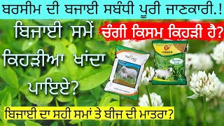 ਚੰਗਾ ਬਰਸੀਮ (ਸ਼ਟਾਲਾ) ਤਿਆਰ ਕਰਨ ਲਈ ਜਰੂਰ ਦੇਖੋ | berseem cultivation | agri advice