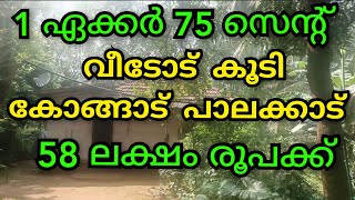 അർജന്റ് വില്പന 1ഏക്കർ 75 സെന്റ് റബ്ബർ തോട്ടം വീടോട് കൂടി കോങ്ങാട് ഭാഗത്ത്‌ 😱#lowprice