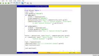 Python- Tkinter Top Level Window