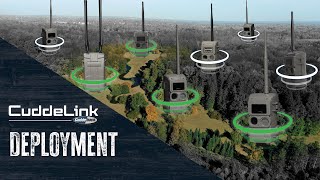 CuddeLink: How to Link Cameras & Improve Signal Strength