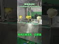 恰玛古削皮Chamagu Peeling Machine