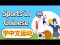 学中文-运动 | Sports in Mandarin Chinese | 汉语-体育运动 | Vocabulary & Sentences of Sports in Chinese