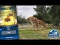 JWA: I Finally Unlocked Smilodon