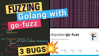 How I found 3 bugs in Google’s Go code using Fuzzing (go-fuzz) - Go Security #2