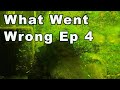 What Went Wrong Episode 4: Test Your Fish-Keeping Knowledge!