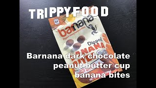 Snack Attack: Barnana banana bites (ft. Cue the Critic and Wreckless Eating's Hobo Brown)