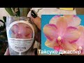 И снова распаковка 🤩🔥💐Приехали новые орхидеи 🌺