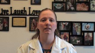 Dog Vaccinations - Overview and Core Vaccines