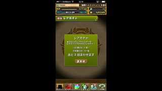 【パズドラ】ゴールデンウィークイベントゴッドフェスpart2で4回