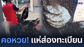 คอหวย! แห่ส่องทะเบียน ผึ้งทำรังใหญ่ จยย.ป้ายแดง | NationNewsFeed