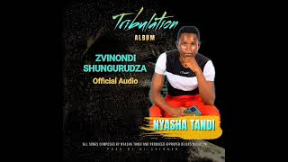 Nyasha Tandi - Zvinondishungurudza Tribulation Album