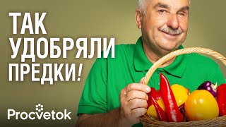 ГОРЫ БЕСПЛАТНЫХ НАТУРАЛЬНЫХ УДОБРЕНИЙ ВОКРУГ НАС! Органика для сада и огорода