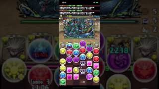 負け方を知りたい　チャレンジダンジョン10 パズドラ