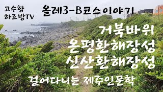 하르방TV 제82회 올레3-B코스를 걷다.