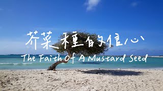 芥菜種的信心 The Faith Of A Mustard Seed |等候神音樂|靈修音樂 Soaking Music |Worship Music|Instrumental Music |療癒音樂